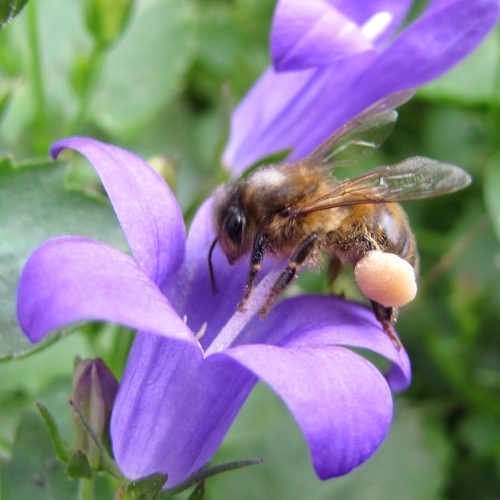 120528-campIMG_8212-044-ab